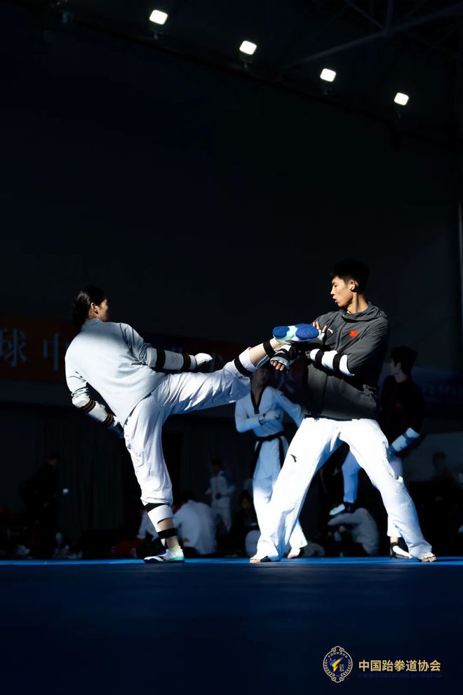 全国跆拳道冠军挑战赛,技艺与勇气的试炼的简单介绍 全国跆拳道冠军挑战赛,技艺与勇气的试炼的简单介绍