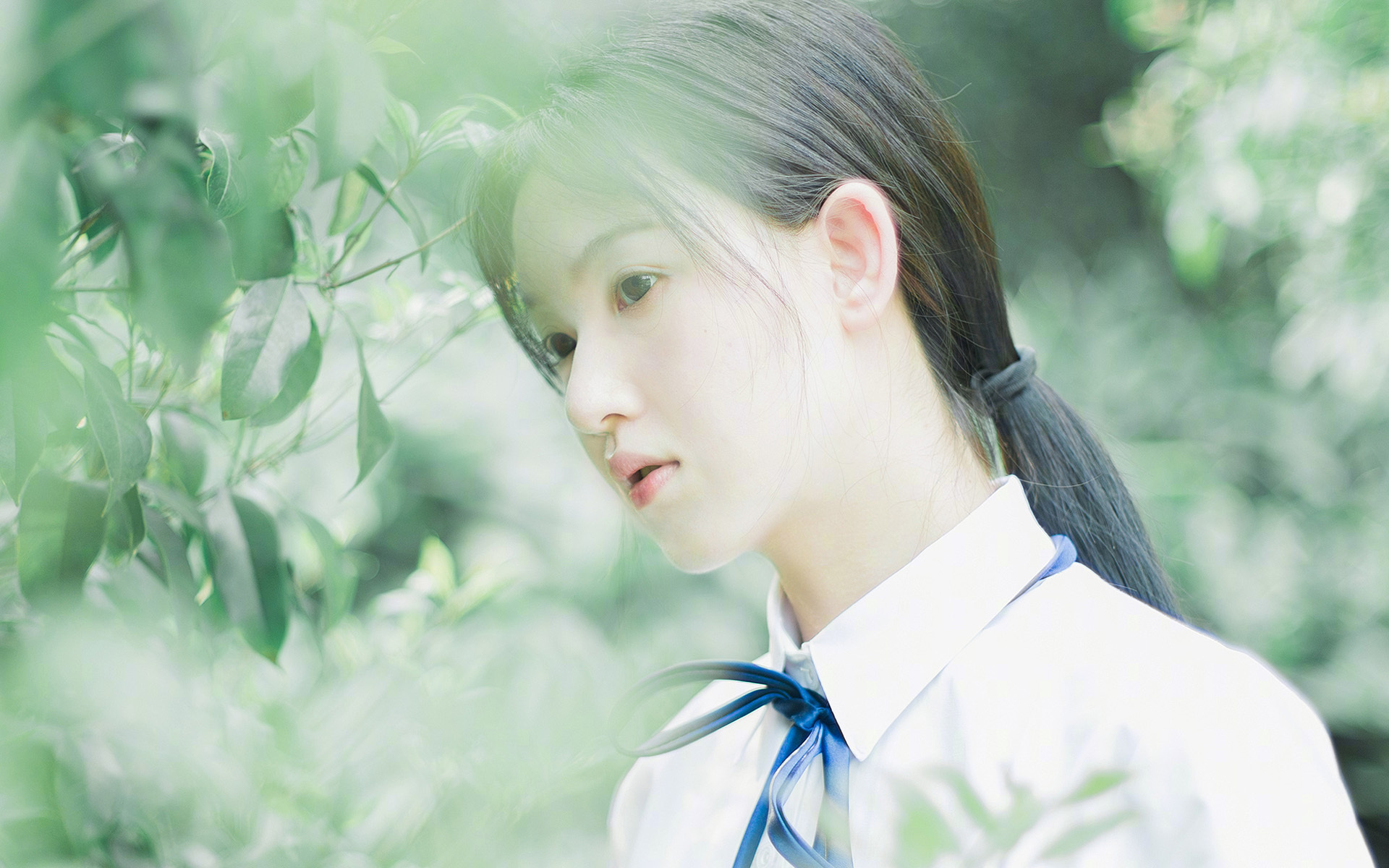 B体育下载-_猛龙队内线强硬，面对对手毫不退缩_，猛龙队员