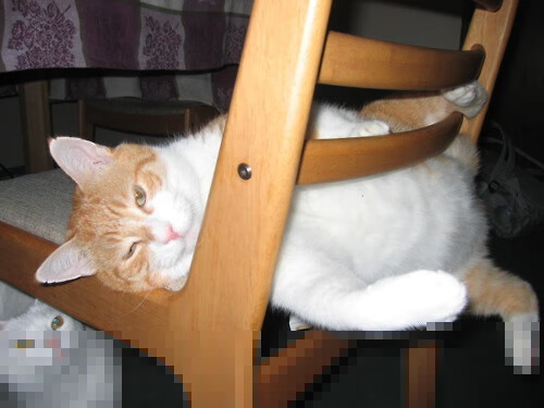 _穿越城市古巷:跑步探索历史文化_,跑步小镇