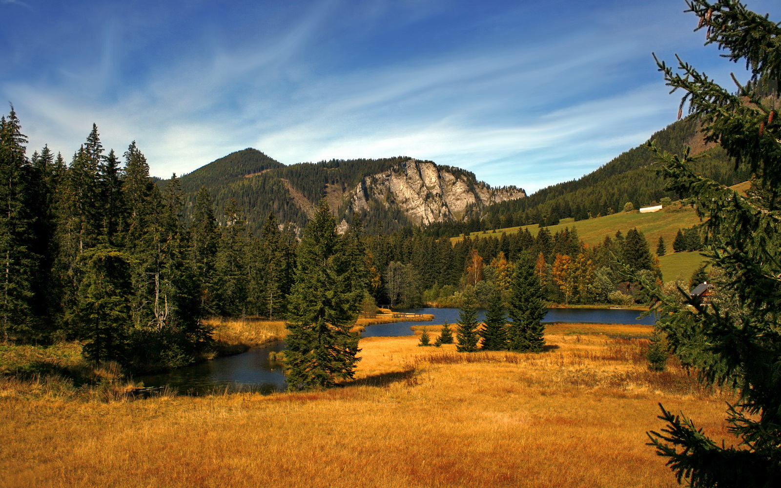 b体育入口-_篮球传奇对决：经典战役再次上演_，篮球传奇电影