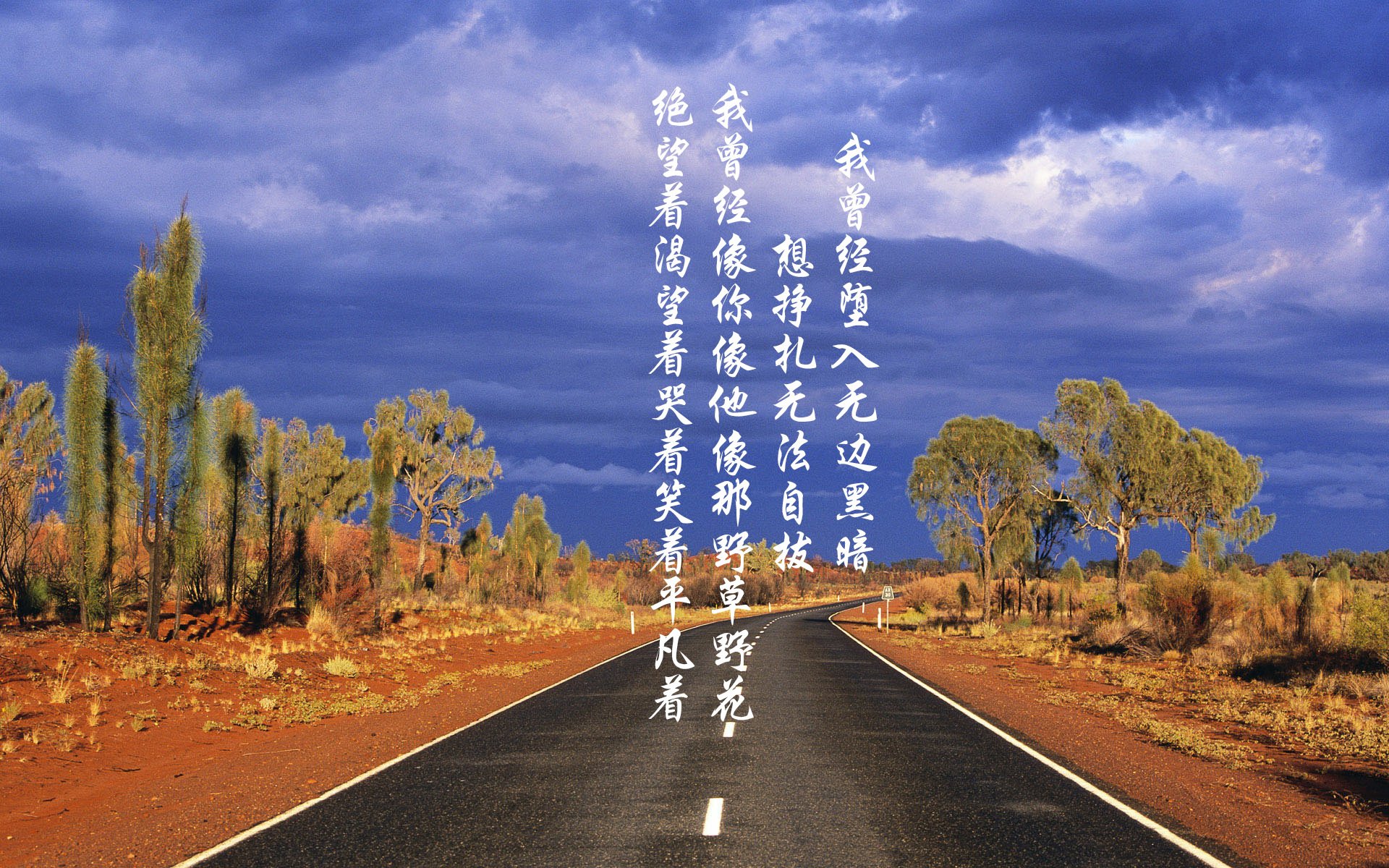 B体育中国官方平台-从跑车到经典：回顾WRC历史上的传奇车型与车手传奇，wrc历届车型