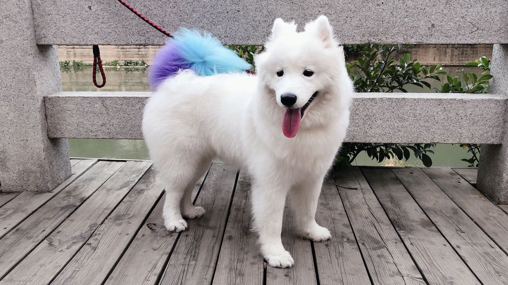 BSPORT 官网-峰值表现：运动员单场最佳统计分析，运动员状态巅峰期