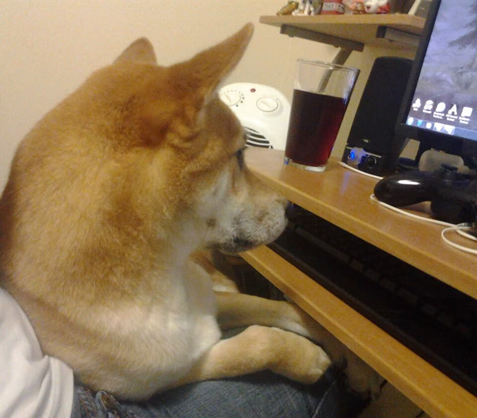 巅峰对决:东西部冠军球队的激情碰撞,巅峰对决2021