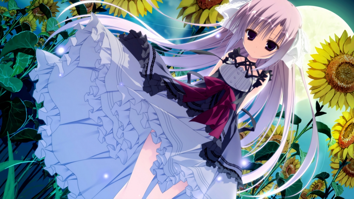 英格兰马术协会引入智能马鞍系统,实现实时数据监测与分析,提升骑乘体验。