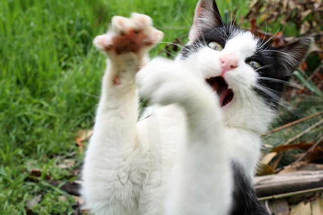 B体育(CHINA)官方网站-赛事场地环保措施：赛场绿色升级，比赛赛场