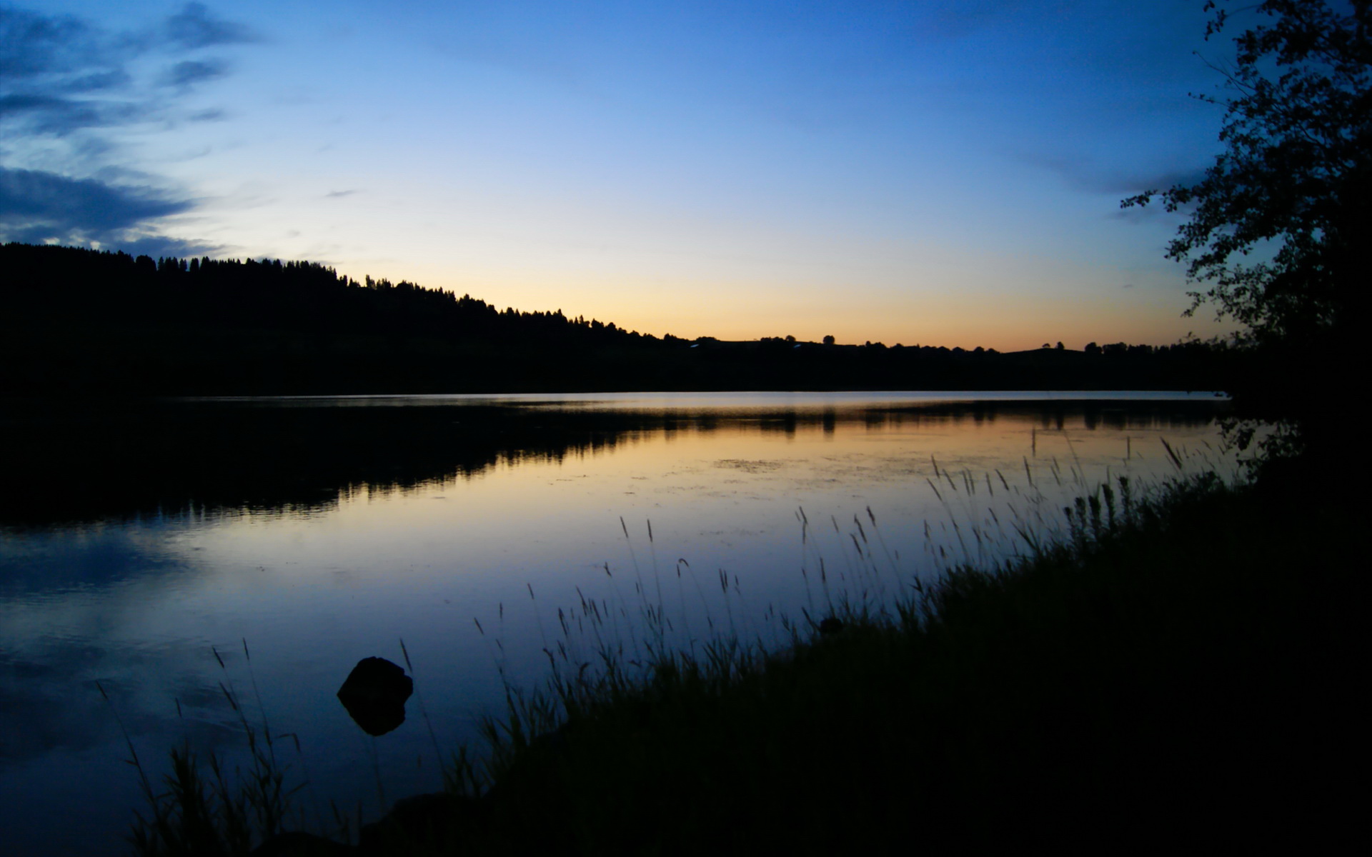 中国游泳队备战东京奥运会集训,中国游泳队东京奥运会预选赛