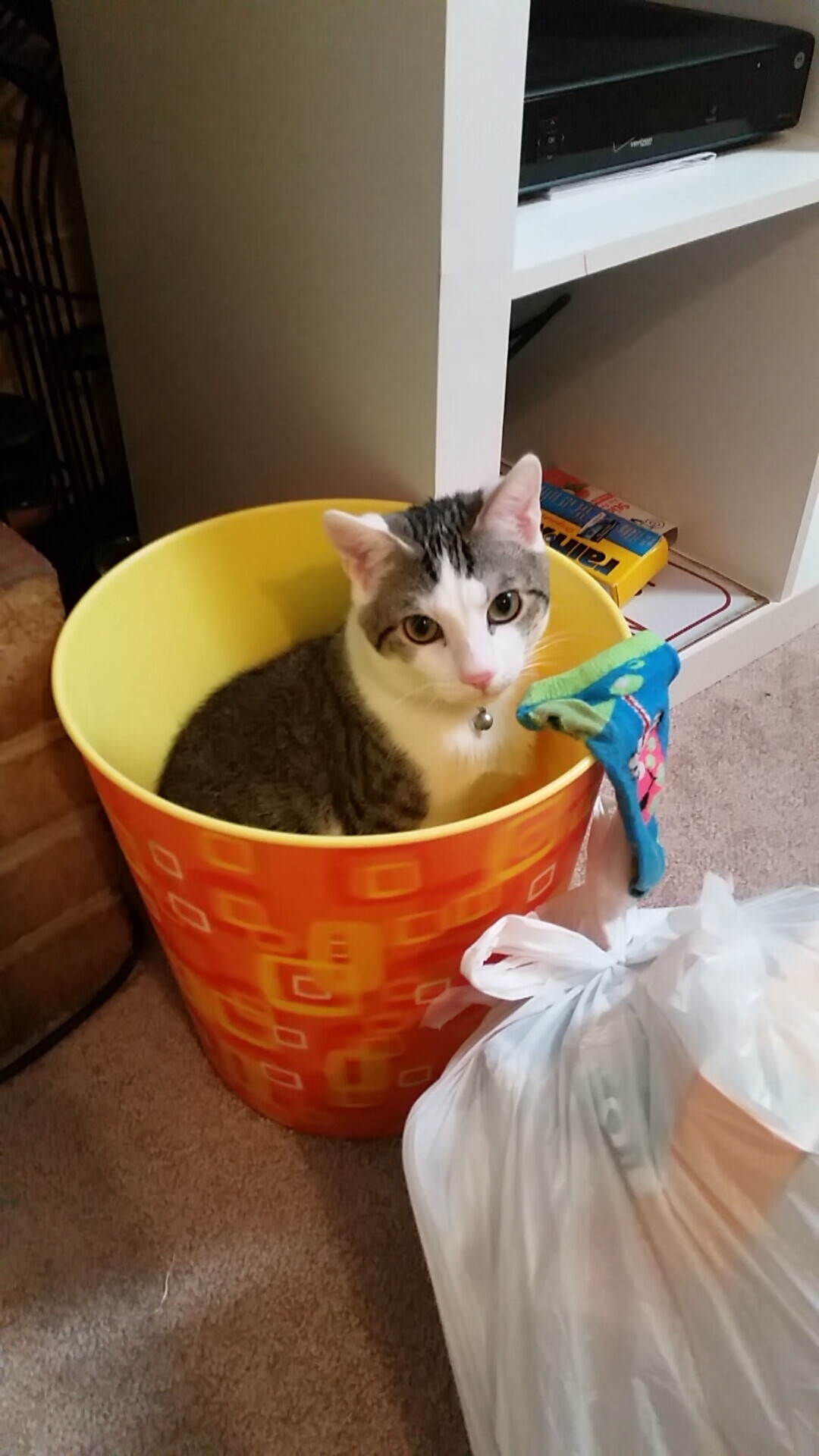 德国男子4x100米自由泳接力队在决赛中获得第六名,男子4_100米自由泳接力赛