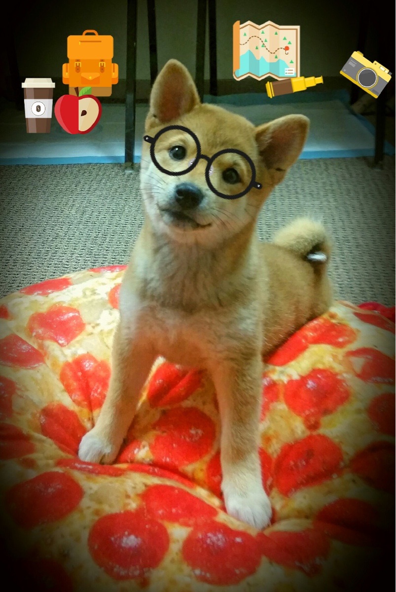 B体育中国内陆官方网站-步行者队战术执行力明显提升，步行者队队员名单