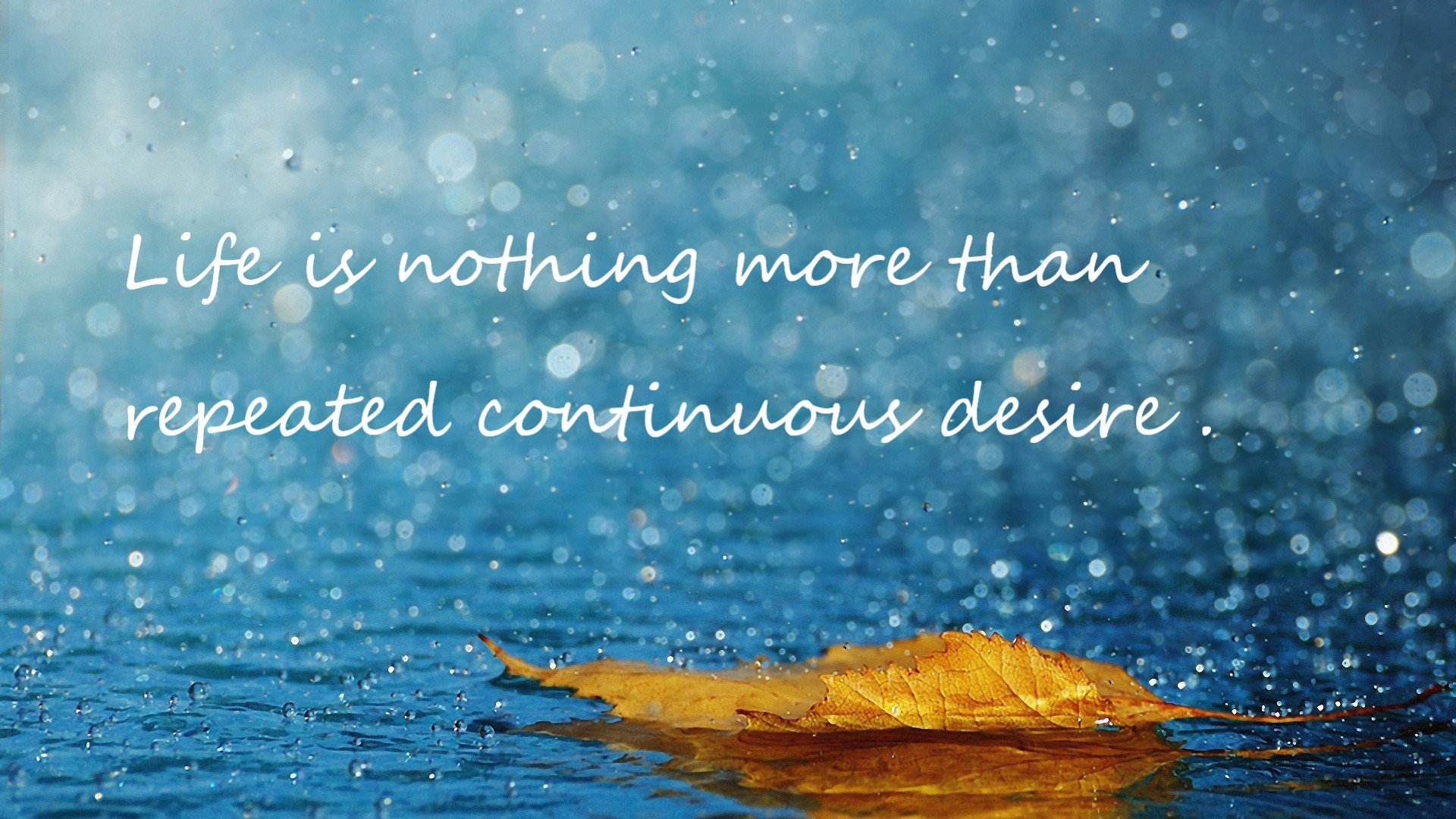 B体育-洛杉矶FC签约新赞助商，提升品牌影响力，洛杉矶ivc