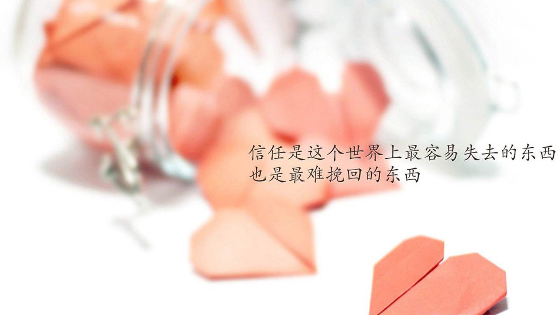 B 体育官网-电竞选手饮食与体能训练科学指导，电竞选手身体素质训练