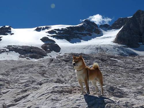 b体育入口-纽卡斯尔联主场4-1大胜曼联，赛季双杀红魔，曼联4_1纽卡斯尔联集锦