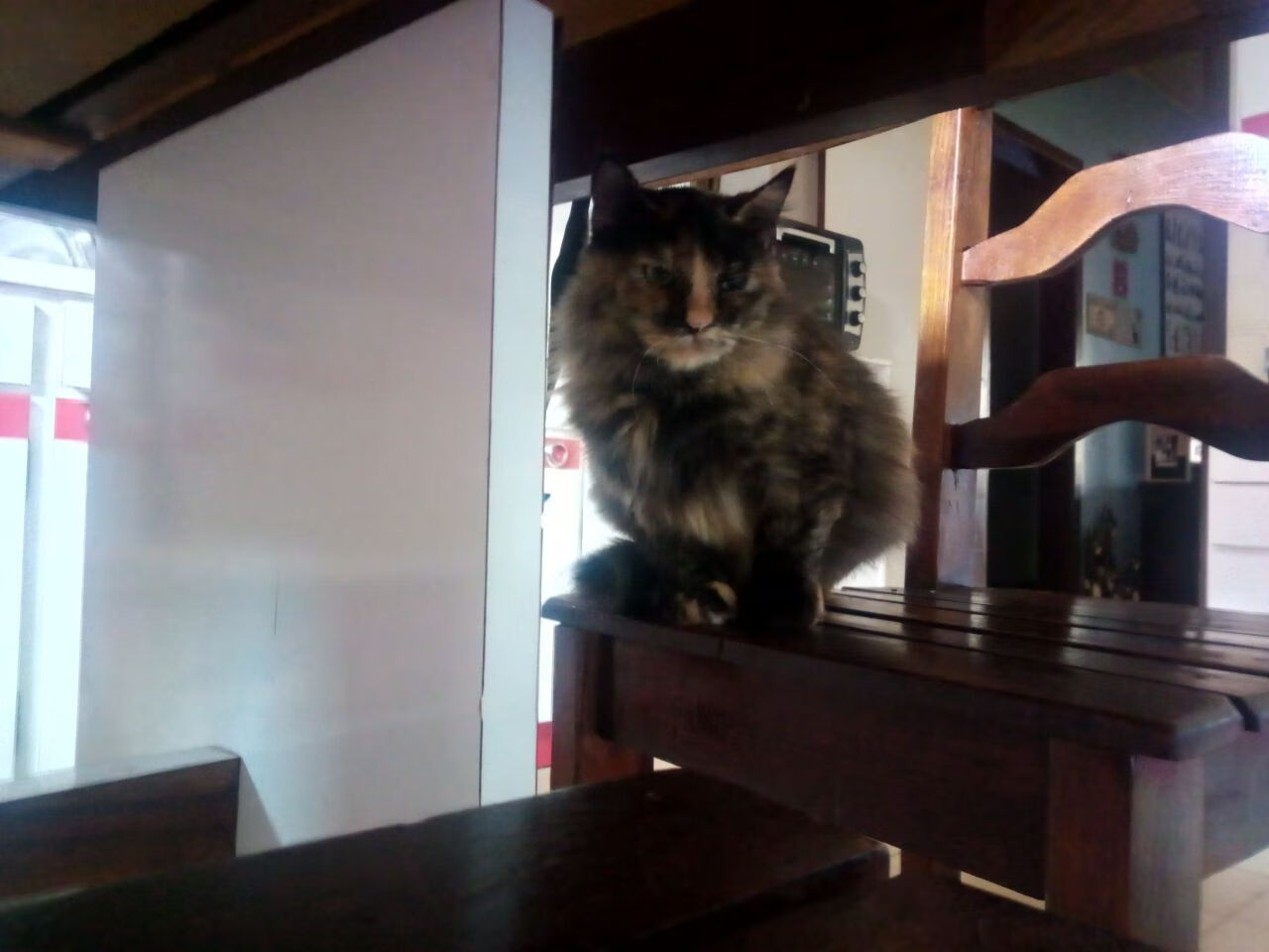 b体育网页版登录入口-纽波特郡进攻有序，艾克斯球场期待胜利，纽波特之战