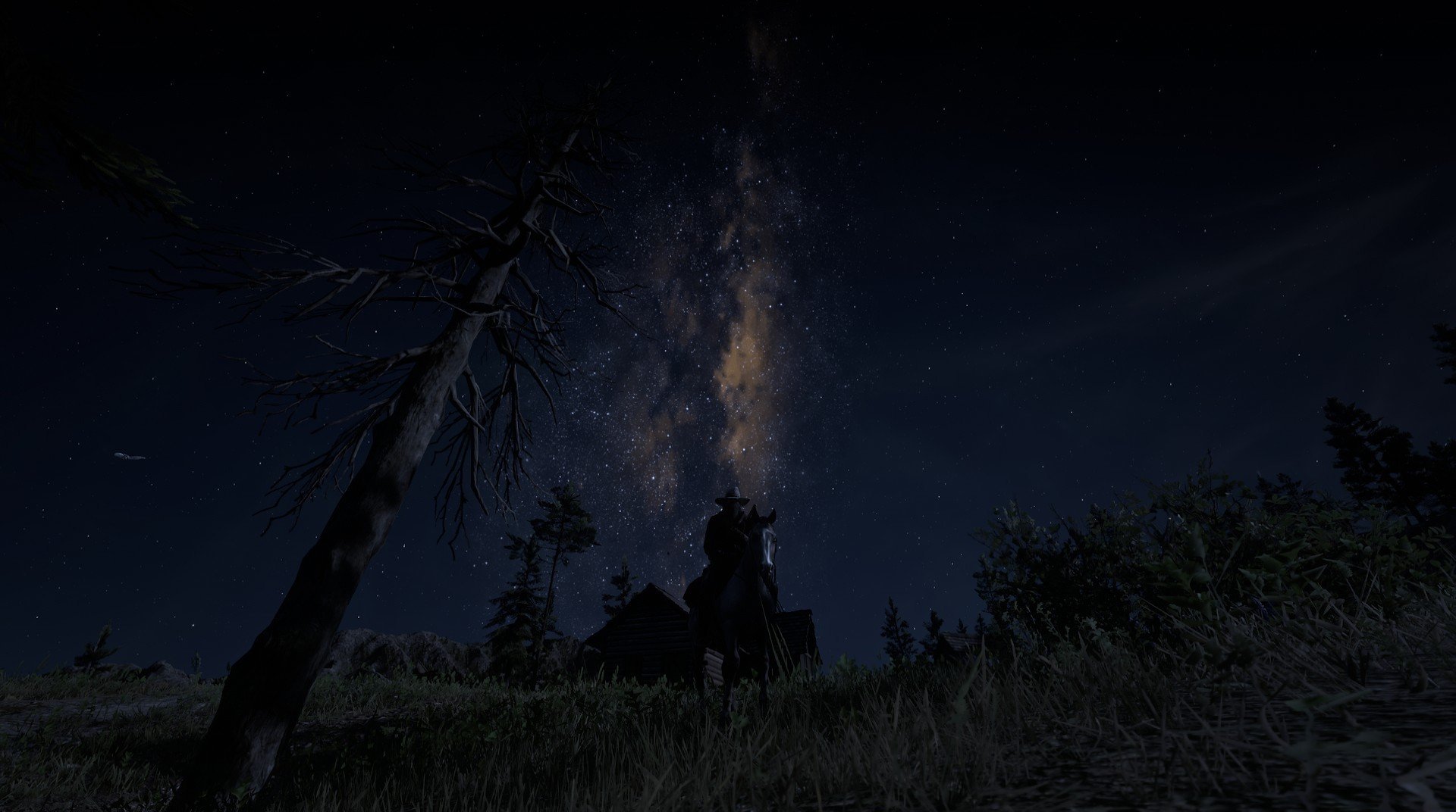 荷兰国家队备战备受关注，欧锦赛看台热闹，荷兰 欧锦赛