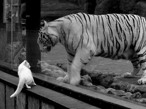 新疆男篮内部竞争激烈激发球员最大潜能，新疆男篮现状