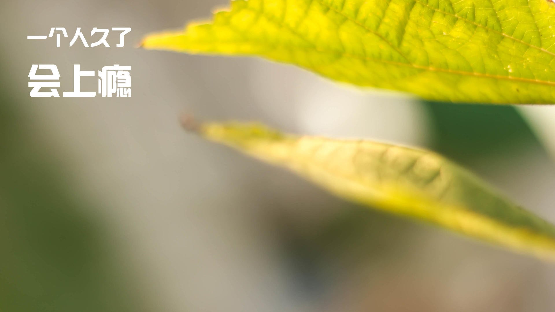 b体育电竞-艾比·德尔福：全面防守和进攻支援，南非队不容忽视的核心，艾德和比尔的故事