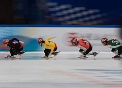 包含B体育：各国运动员的表现差异：文化和环境的影响的词条