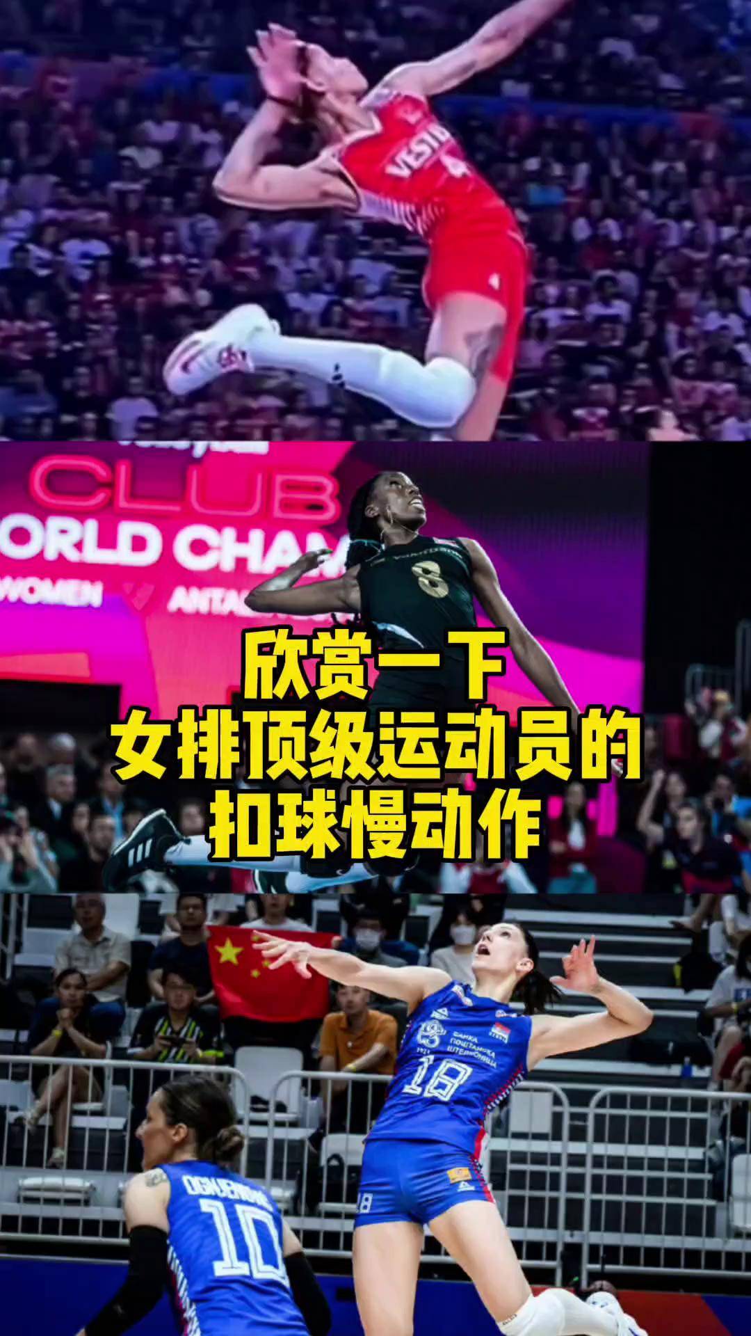 B体育:国际田联的争夺战，顶级运动员的表现的简单介绍