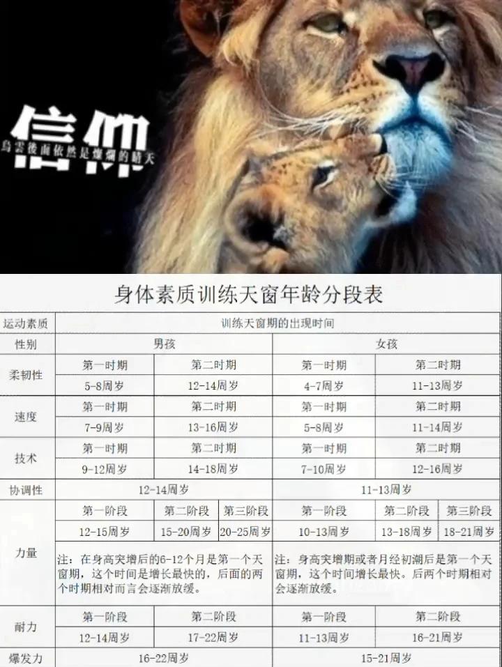 包含B体育：精神与体能的双重挑战：运动员的成长过程的词条