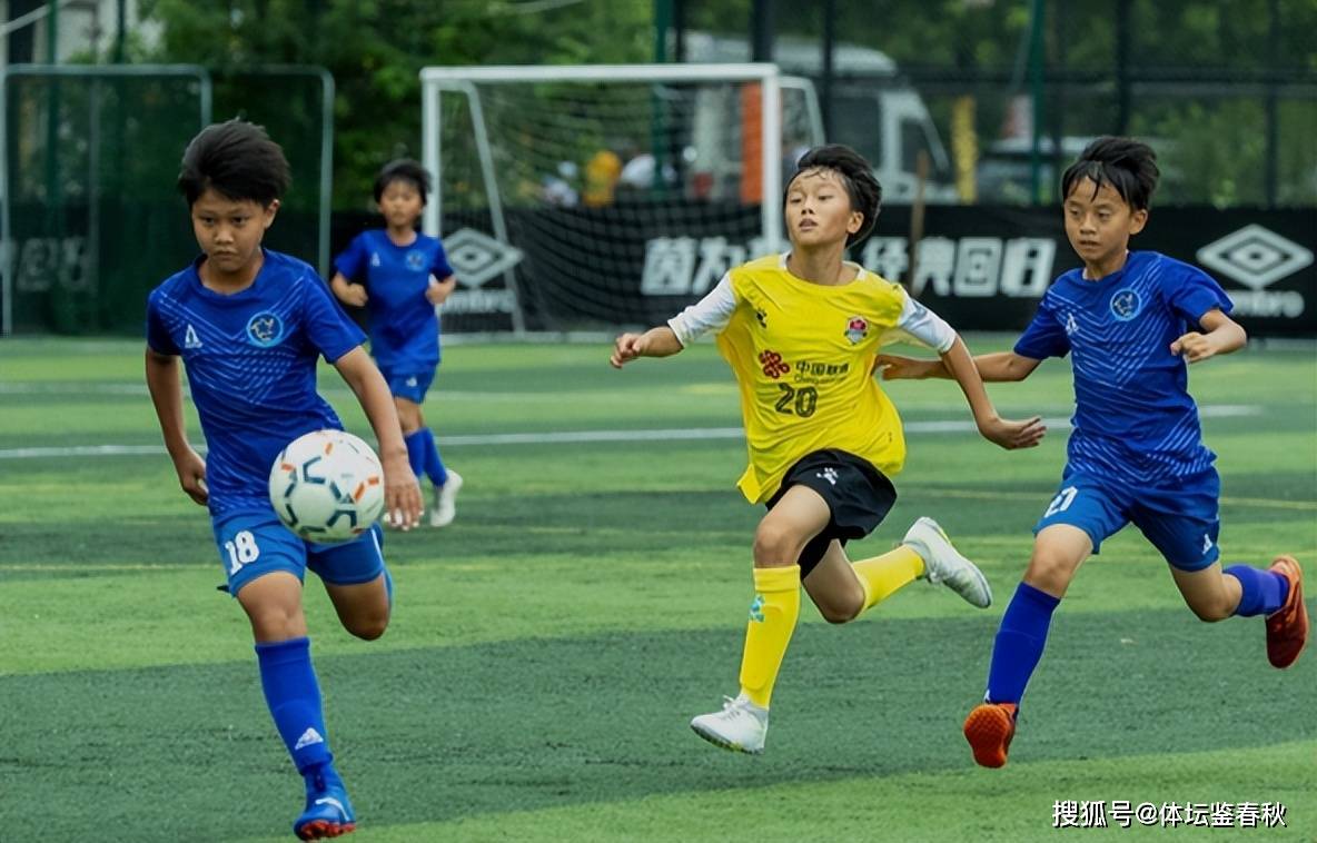 包含B体育官方网站:德甲的青训表现:本土人才的崛起的词条 包含B体育官方网站:德甲的青训表现:本土人才的崛起的词条